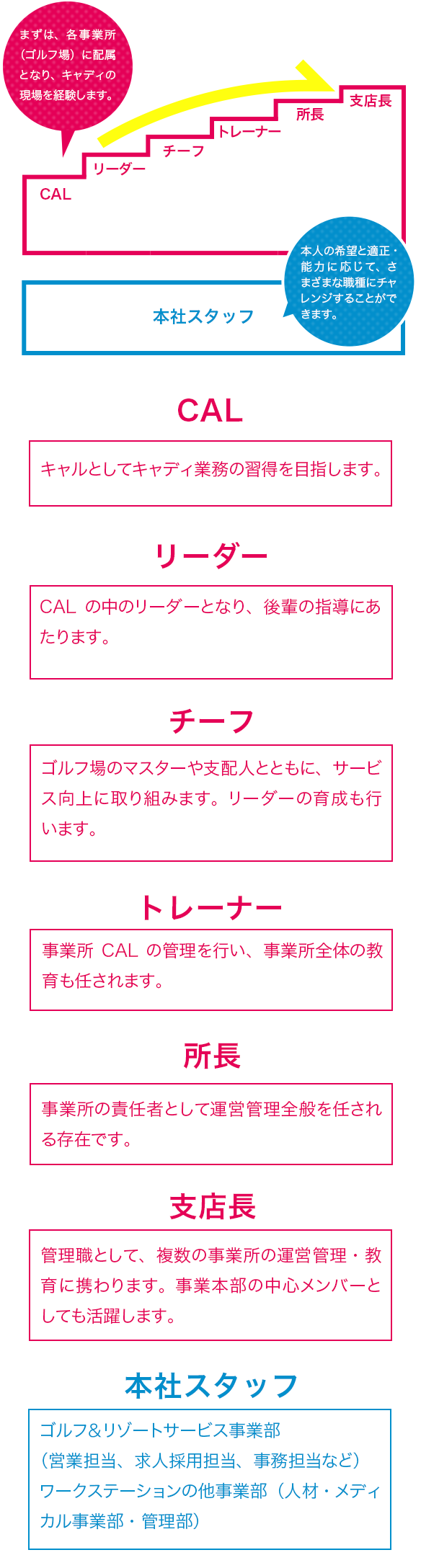 キャリアプラン