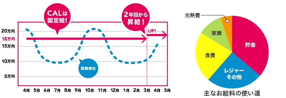 CALは固定給!2年目から昇給!